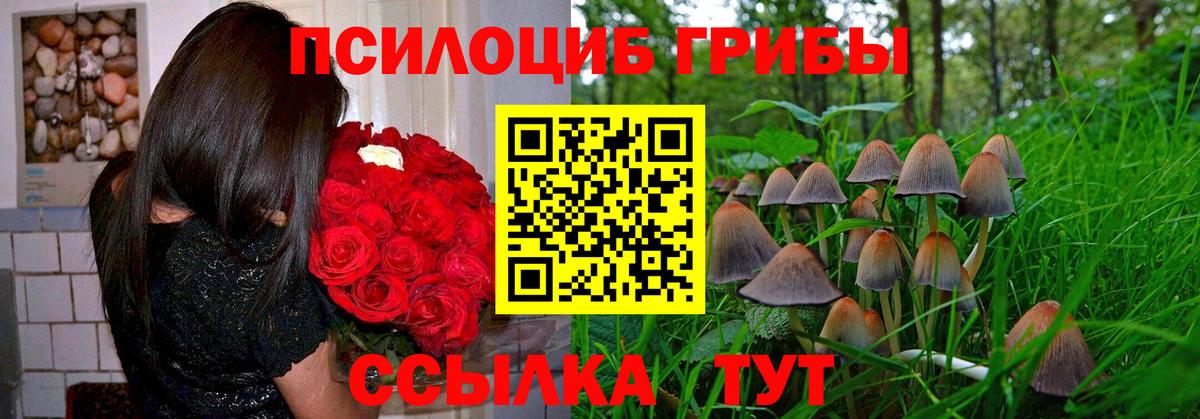Псилоцибиновые грибы ЛСД  Вход с VPN  закладка  Советская Гавань 