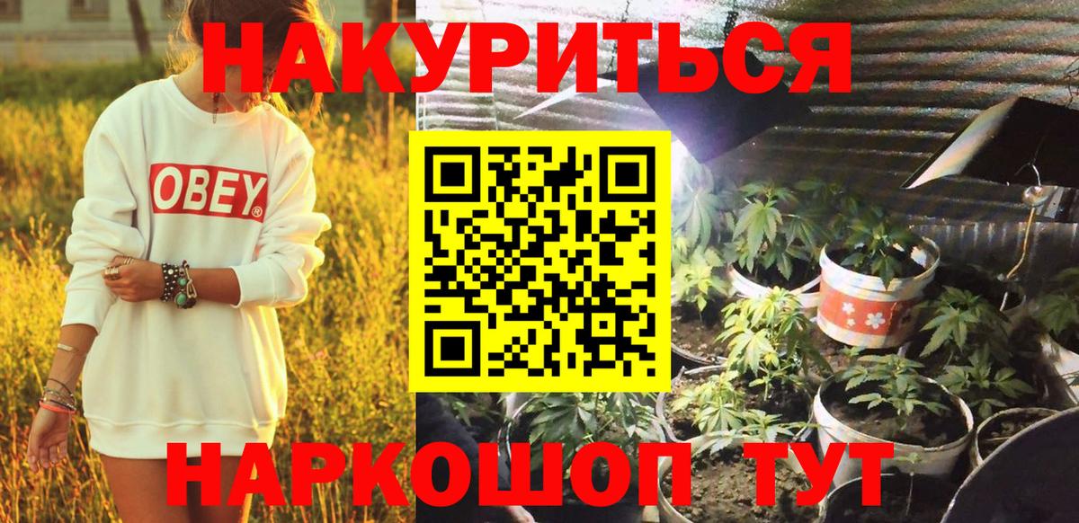 Советская Гавань  Шишки марихуана план  Вход с VPN  Конопля Amnesia  Бошки марихуана сатива 